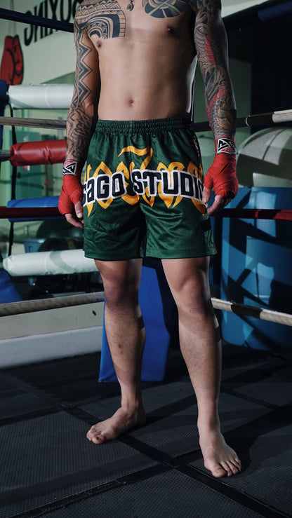 Muay Thai shorts (green)