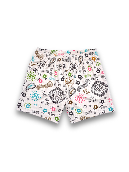 Multicolor paisley shorts (off-white)