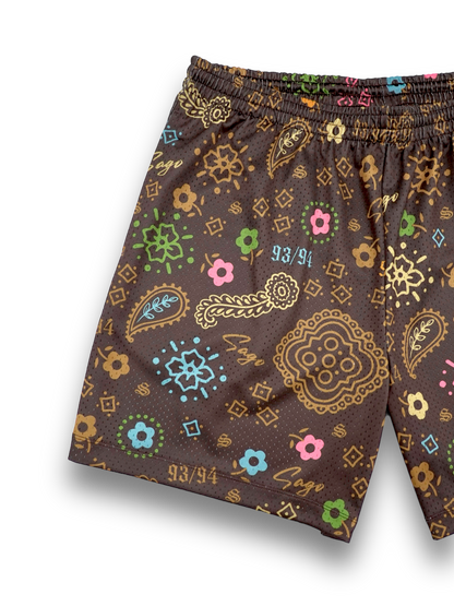 Multicolor paisley shorts (brown)